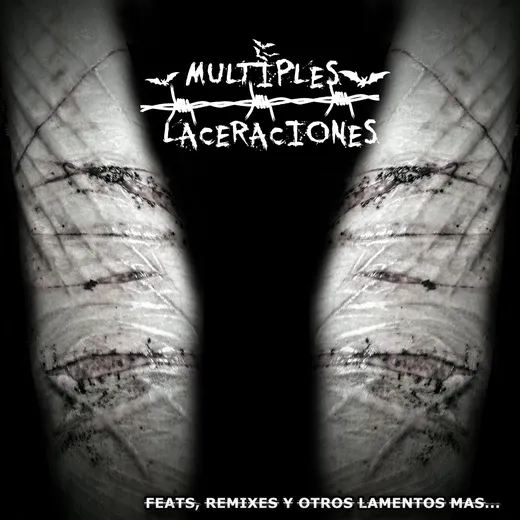 Feats, Remixes y Otros Lamentos Mas...