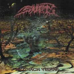 V bažinách vědomí von Sněť – Album Cover