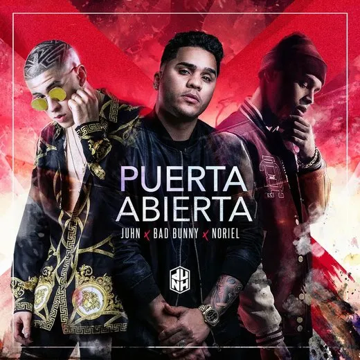 Puerta abierta