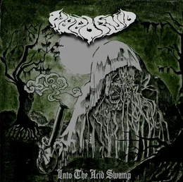 Into the Acid Swamp von Weedruid – Album Cover