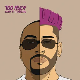 Too Much von ZAYN – Cover