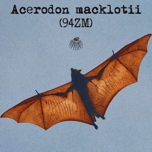Acerodon macklotii