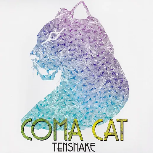 Coma Cat