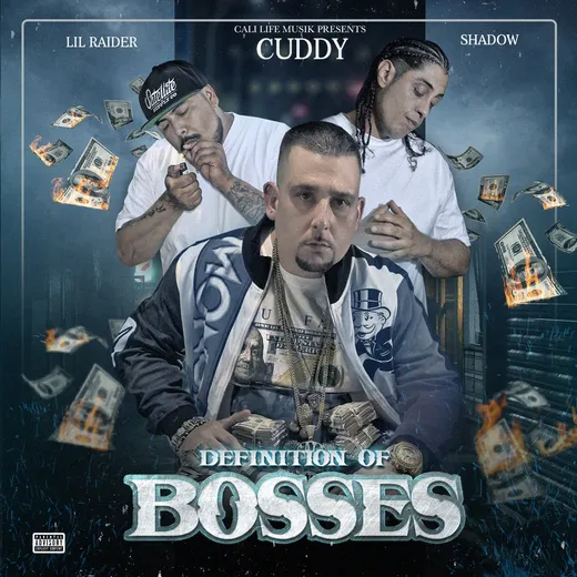 Definition of Bosses