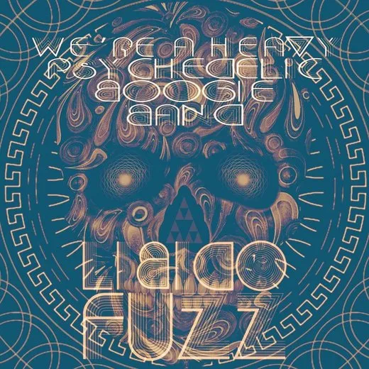 We're a Heavy Psychedelic Boogie Band