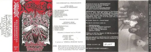 Excremental Pregnancy