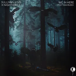 We In Here von Sullivan King – Album Cover