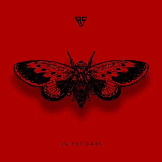 In the Dark (Cicada)