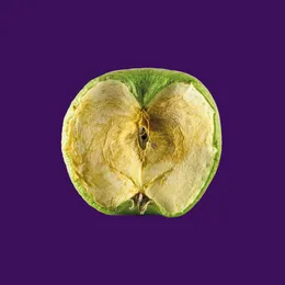 Built on Ashes von Zeal & Ardor – Album Cover