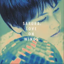 LOVE ON WINGS von SAKURA – Album Cover
