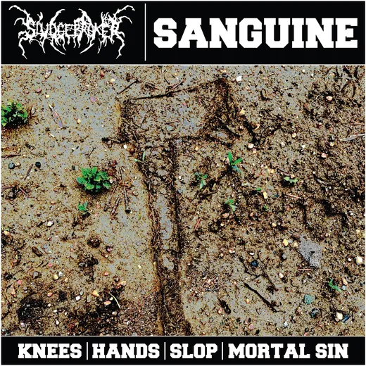Sanguine