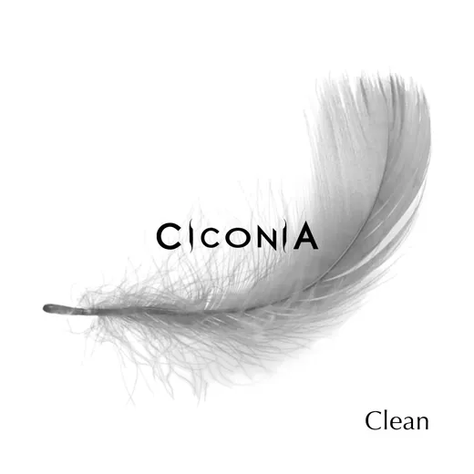 Clean EP