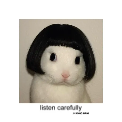 listen carefully