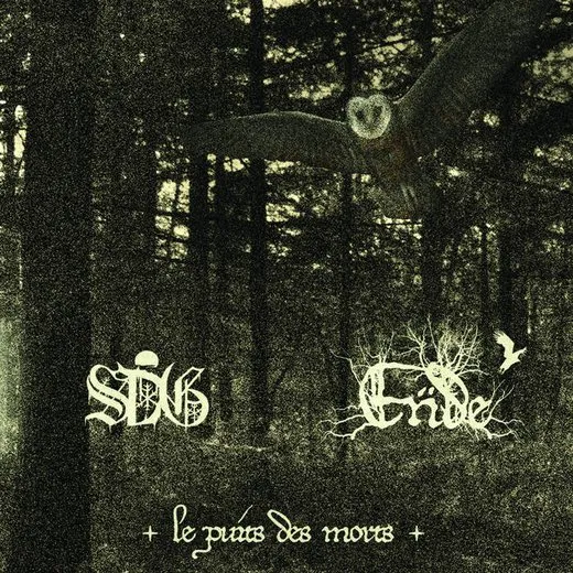 Le Puit Des Morts