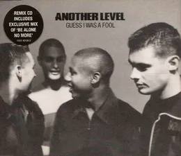 Guess I Was a Fool von Another Level – Cover