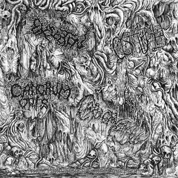 Asian Pathological Vomit Gorepremacy von Cancrum Oris – Cover