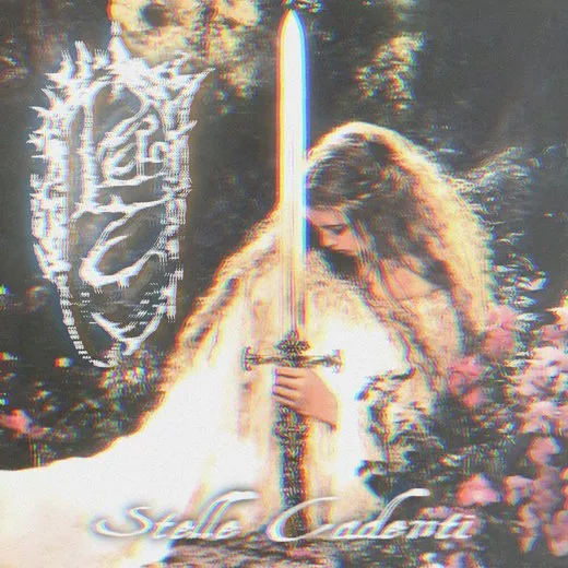 Stelle Cadenti
