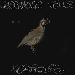 Partridge von Black Noi$e – Cover
