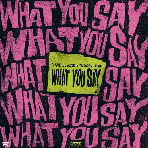 What You Say