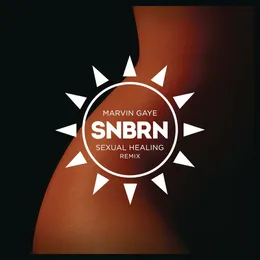 Sexual Healing (SNBRN Radio Remix) von SNBRN – Cover