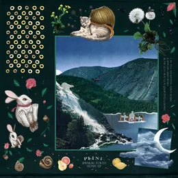 Impulse Voices (Remix EP) von Plini – Album Cover