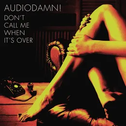 Don't Call Me When It's Over von AudioDamn! – Cover
