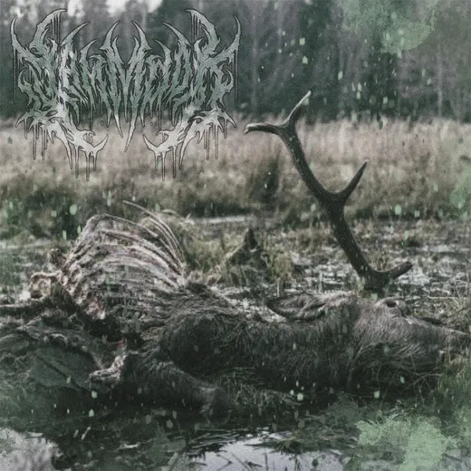 Bros of Decay