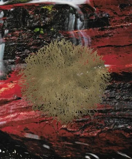 𝔞𝔣𝔱𝔢𝔯 𝔱𝔥𝔢 𝔣𝔞𝔩𝔩