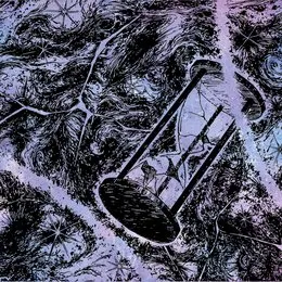 Beyond Ratio von Swampborn – Album Cover