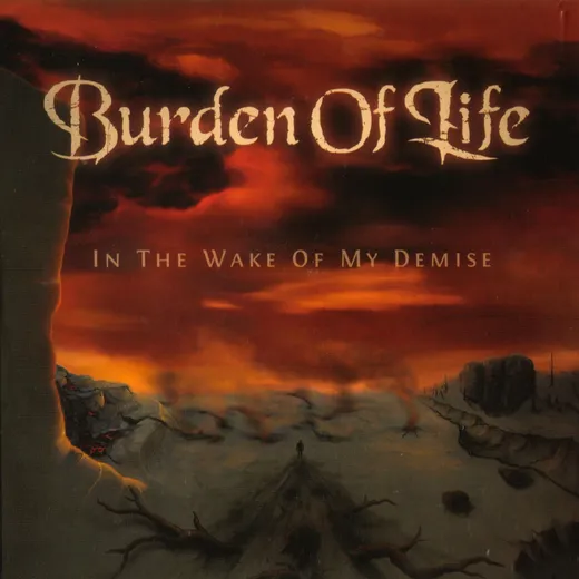 In the Wake of My Demise