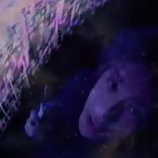 欲望に満ちた星