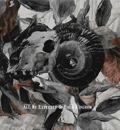All We Expected & Raum Kingdom Split