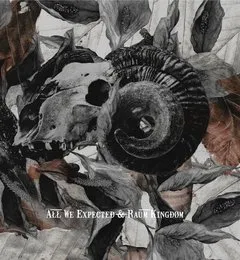 All We Expected & Raum Kingdom Split von All We Expected – Cover