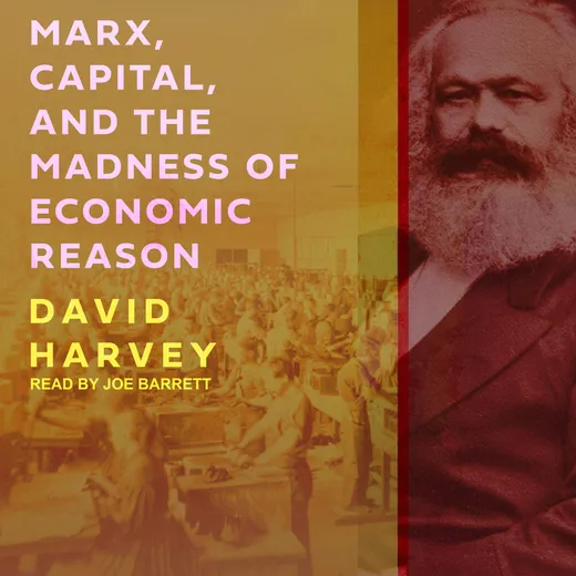 Marx, Capital, and the Madness of Economic Reason