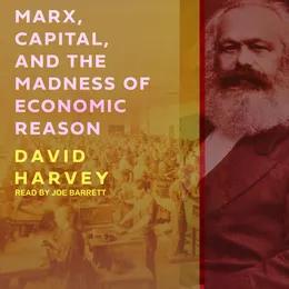 Marx, Capital, and the Madness of Economic Reason von Joe Barrett – Cover