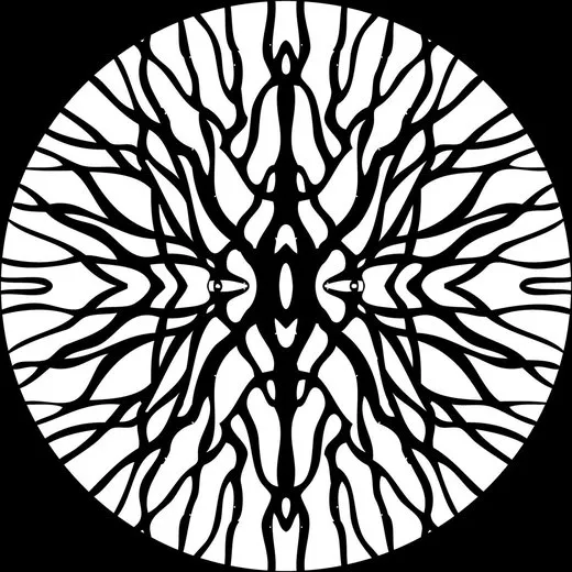 Procyon
