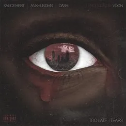 Too Late 4 Tears von V Don – Album Cover