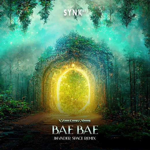 Bae Bae (Invader Space remix)