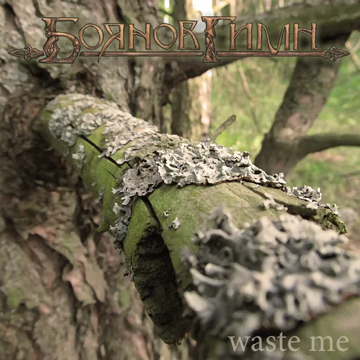 Waste me