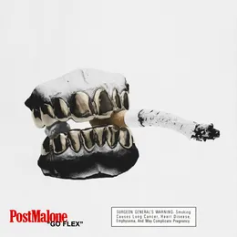 Go Flex von Post Malone – Cover