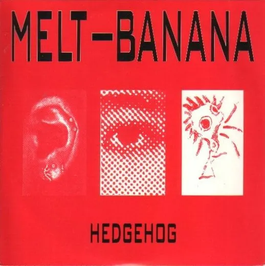 Hedgehog