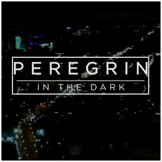 In the Dark