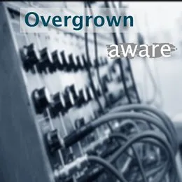 Overgrown (Radio Edit) von Aware – Cover