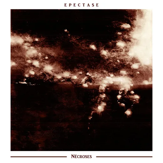 Nécroses