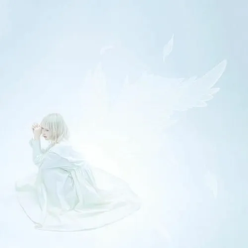 空白 demo