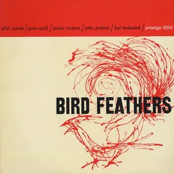 Bird Feathers