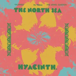 Poppies von hyacinth. – Album Cover