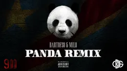 Panda Remix von Bartofso – Album Cover