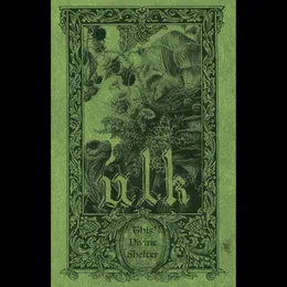 This Divine Shelter von ulk – Album Cover