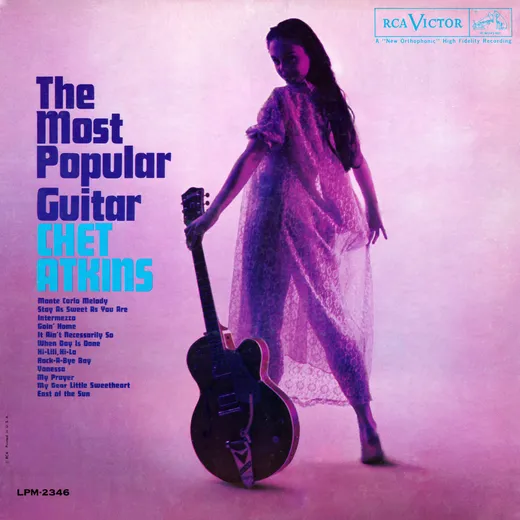 The Most Popular Guitar